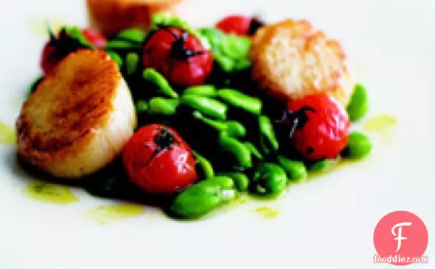 Grilled Scallops With Fava Beans And Roasted Tomatoes