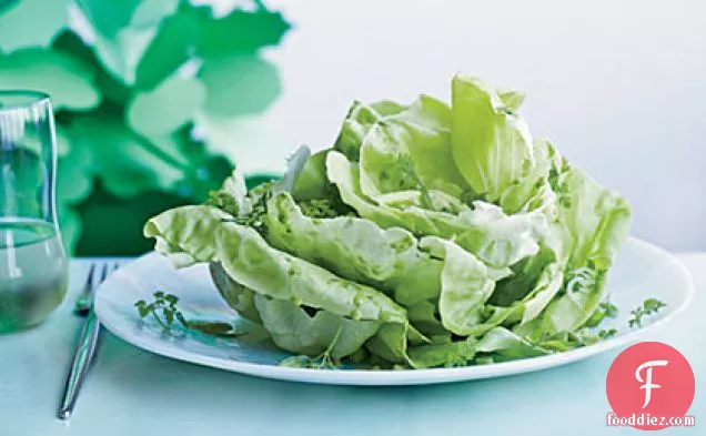 Boston Lettuce Salad with Herbs