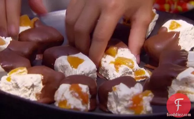 Chocolate-Dipped Nougat with Dried Apricots