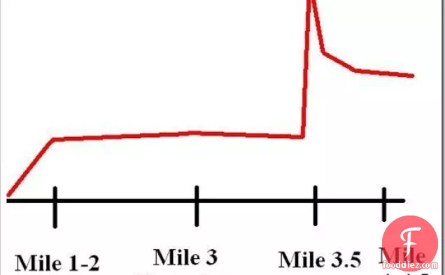 चिप्स डिल अचार सैंडविच पकड़ो