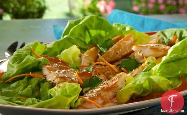 Smoked Trout Lettuce Wraps with Meyer Lemon Dressing and Carrots
