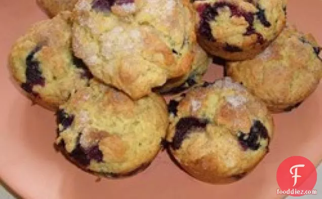 ब्लूबेरी जई Muffins