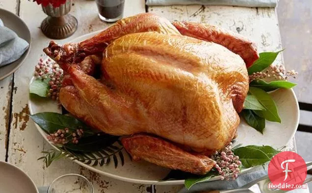 Good Eats Roast Turkey