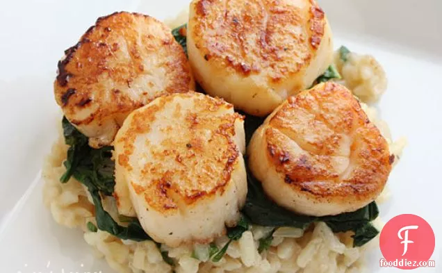 Seared Scallops Over Wilted Spinach And Parmesan Risotto