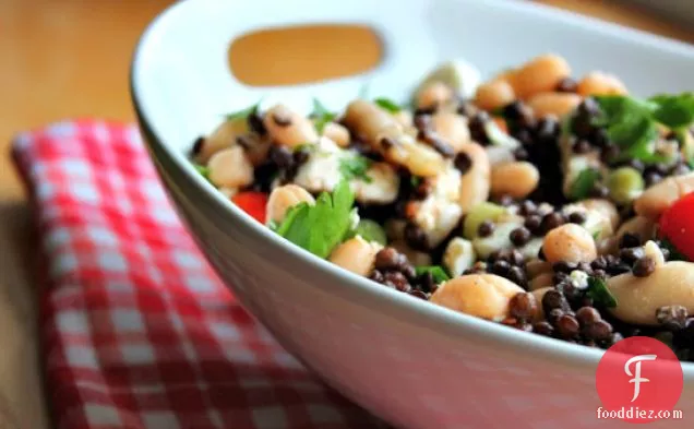 Two Bean, Puy Lentil, Feta and Parsley Salad