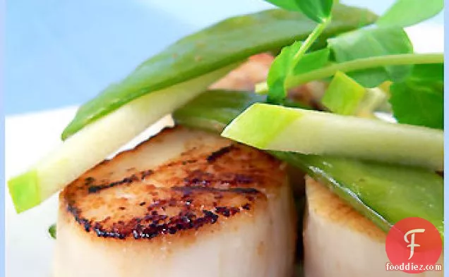 Seared Scallops And Green Apple Sauce