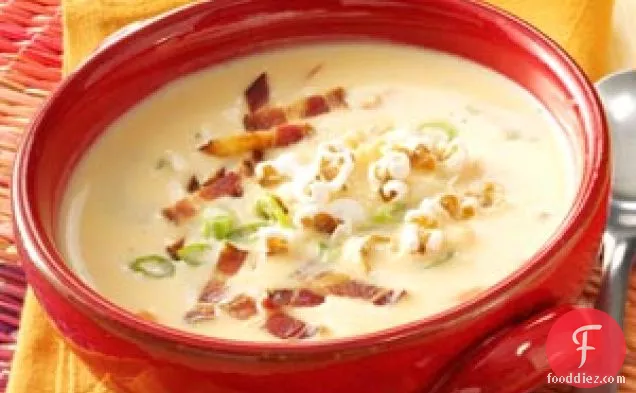 Slow-Cooked Savory Cheese Soup