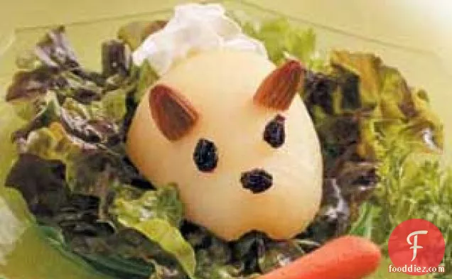 Bunny Pear Salad