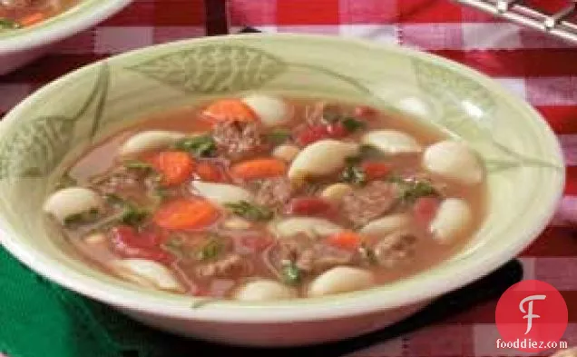 Fast Meatball Vegetable Soup