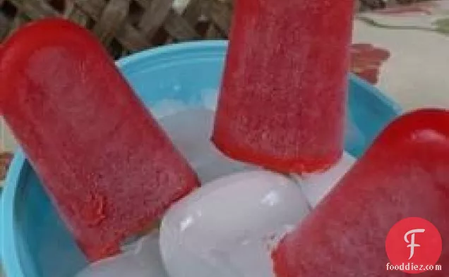 No Drip Ice Pops