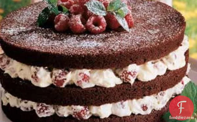 Chocolate Torte with Raspberry Filling