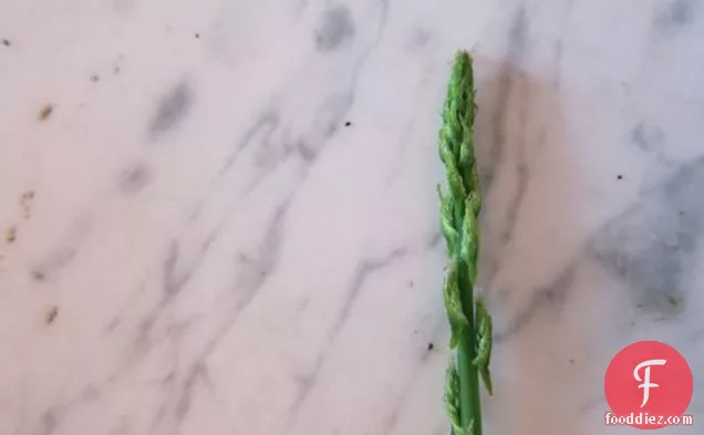 Frittata Of Wild Asparagus