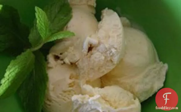 Vanilla Ice Cream VII