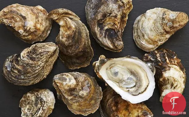 Creole Oysters