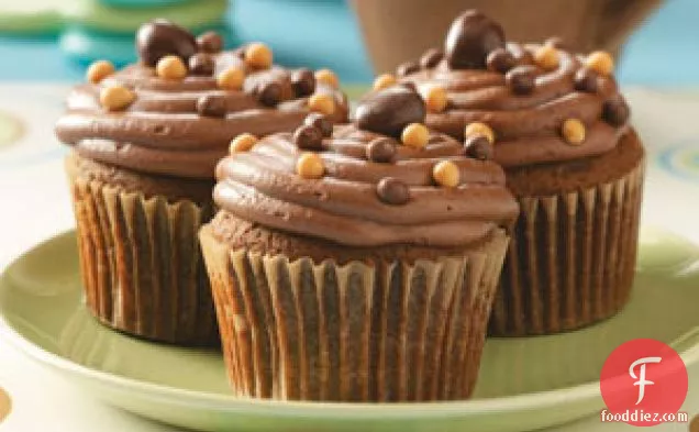 Spice Cupcakes with Mocha Frosting