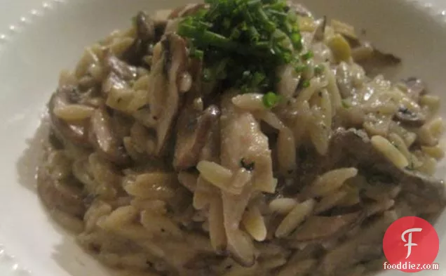 Creamy Mushroom And Leek Orzo