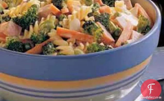 मलाईदार सब्जी पास्ता सलाद
