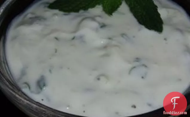 Tzatziki Sauce II