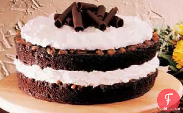 Chocolate Praline Torte