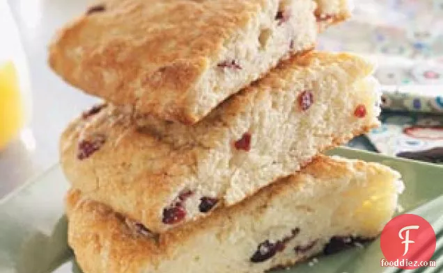 Cranberry Coffee Cake Wedges