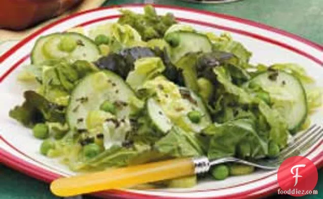 Tossed Green Salad