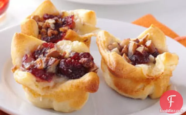Cranberry-Brie Tartlets