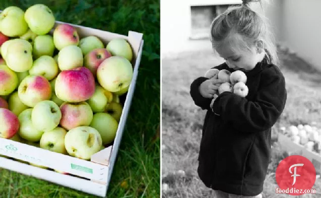 शाकाहारी और लस मुक्त सेब और जई बिस्कुट