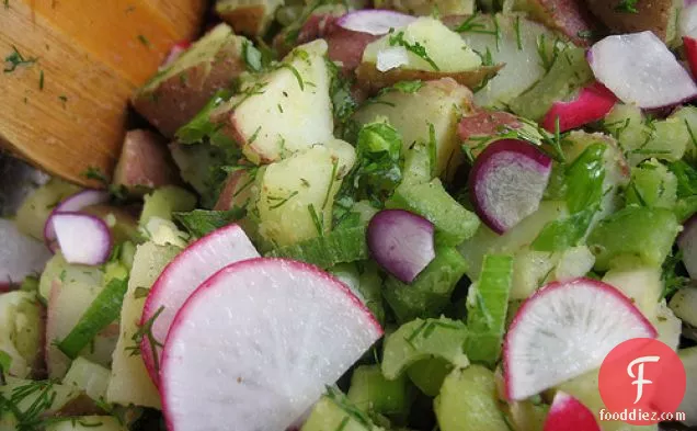 Mint Chutney Potato Salad With Radishes, Scallions And Dill