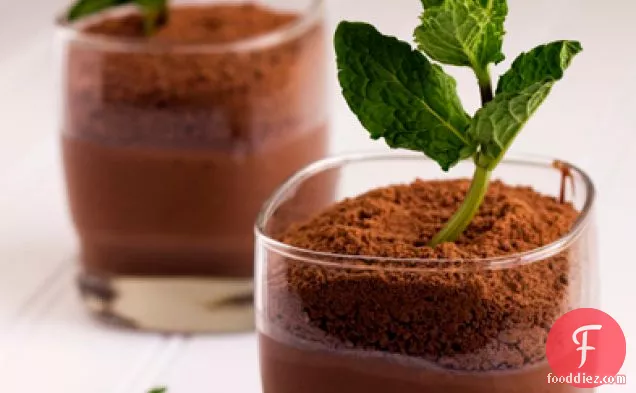 Potted Mint-chocolate Puddings