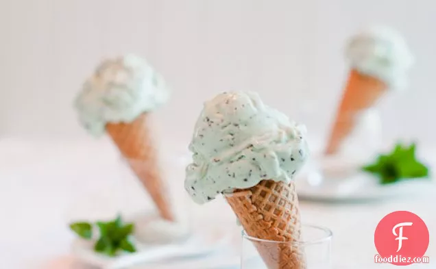 Mint Chip Ice Cream Recipe