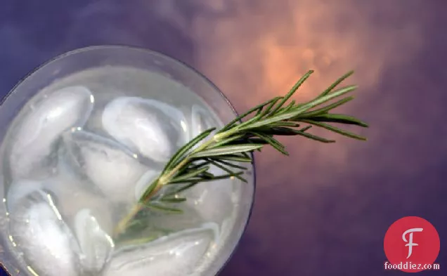 Rosemary Refresher Cocktail Recipe
