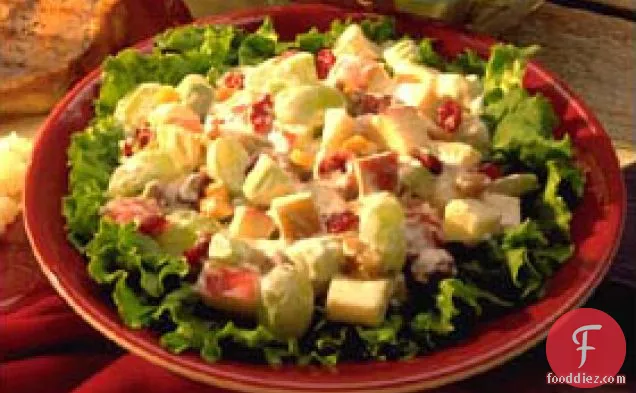 Cranberry Apple Salad