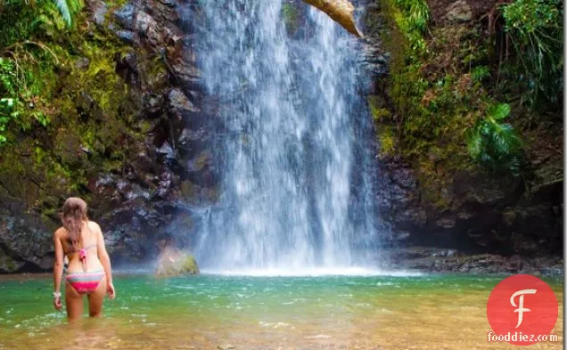 कैप्रिस पिज्जा और गोर्गोन्जोला रास्पबेरी अखरोट का सलाद
