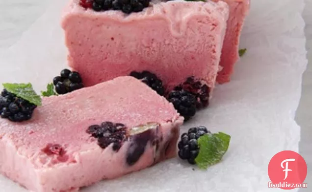 Victoria Plum And Blackberry Frozen Ice Cream Slices