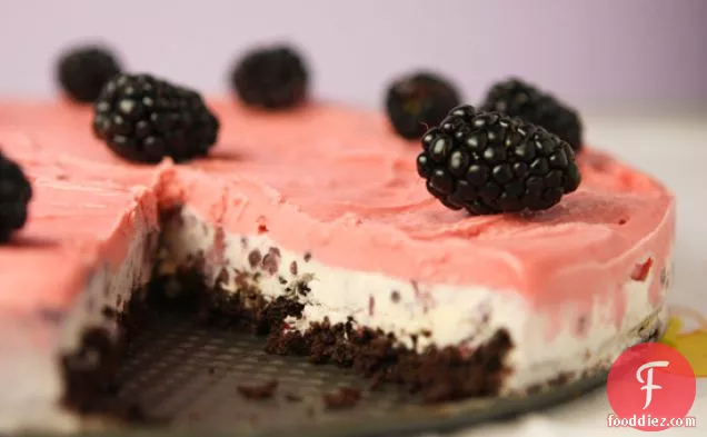 Chocolate-berry Ice Cream Cake