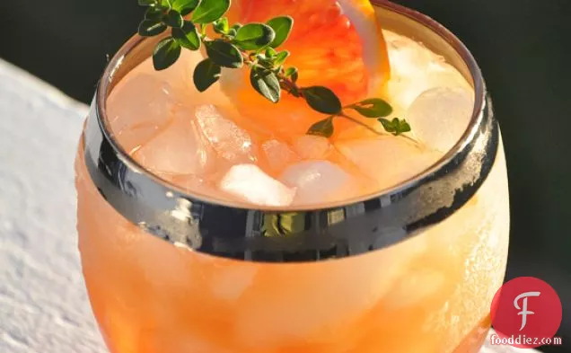 Blood Orange Cocktail Recipe