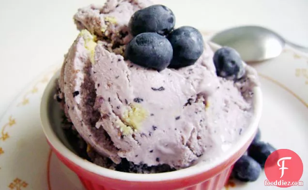 Blueberry Brie Tart Ice Cream Best Lick! 2008 Ice Cream Cont