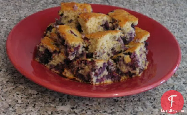 Blueberry Oatmeal Cake