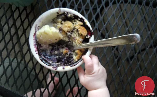 Blueberry Cobbler With Honey Biscuits