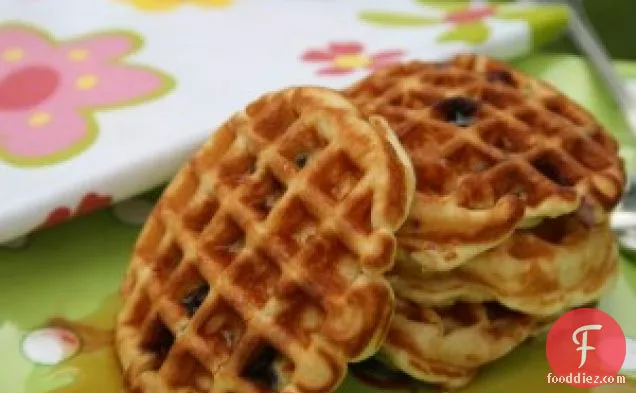 Organic Blueberry Waffle Pancakes