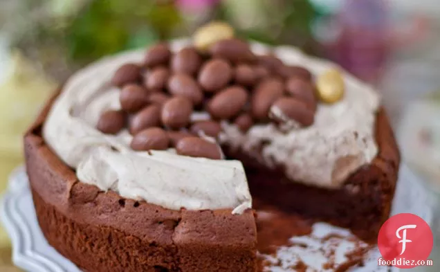 Mocha Chocolate Crater Cake