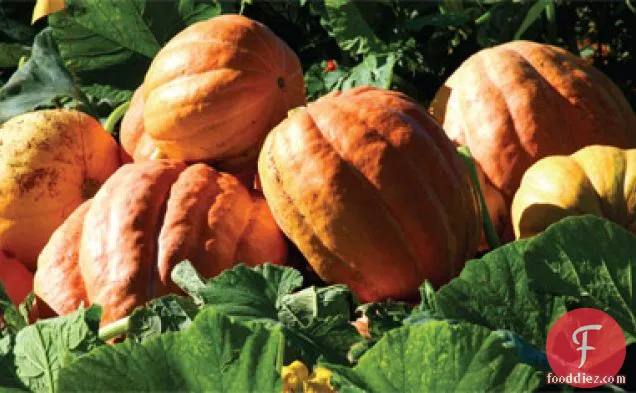 ठंडा क्रैनबेरी मैकाडामिया क्रंच