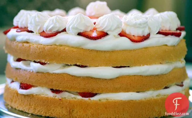 Strawberry Chiffon Shortcake