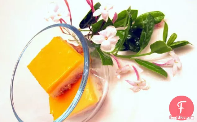 Summer Magic Mango Pudding