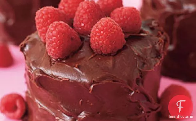 Raspberry-chocolate Angel Food Cake