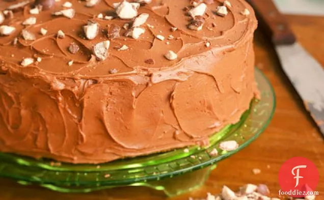 माल्टेड-मिल्क चॉकलेट केक