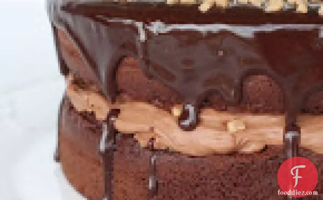 चॉकलेट मूस क्रंच केक