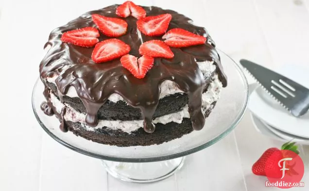 Chocolate Cake With Balsamic Strawberry Whipped Cream Filling