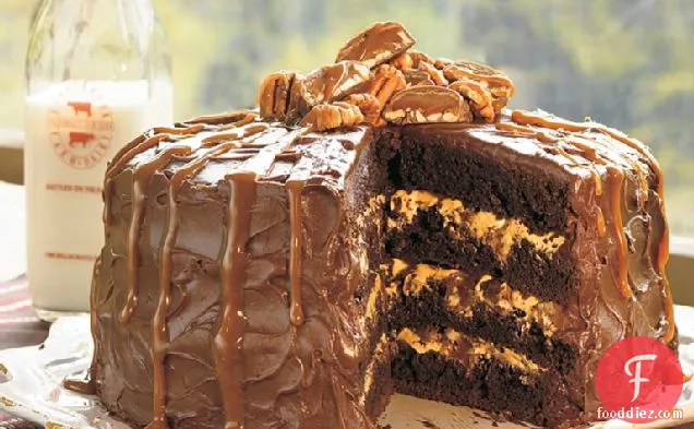 चॉकलेट कछुए केक