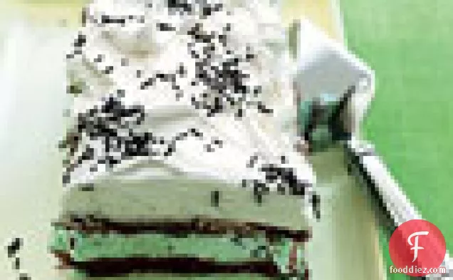 Chocolate Meringue and Mint Chip Ice Cream Cake